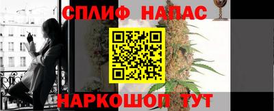 прущие грибы Ставрополь