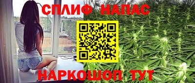 прущие грибы Ставрополь