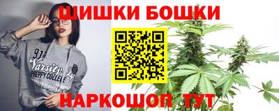 прущие грибы Ставрополь